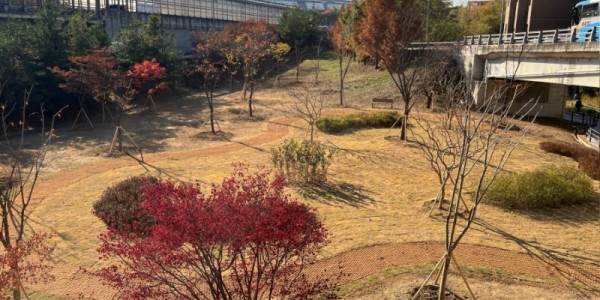 1-1. 상현동 교통광장에 조성된 도시숲.JPG