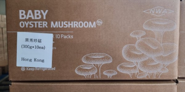 경기도+느타리버섯+수출제품.jpg