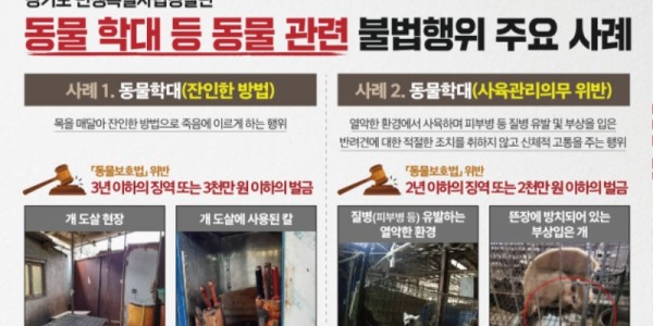 동물 관련 불법행위 11건 적발.jpg