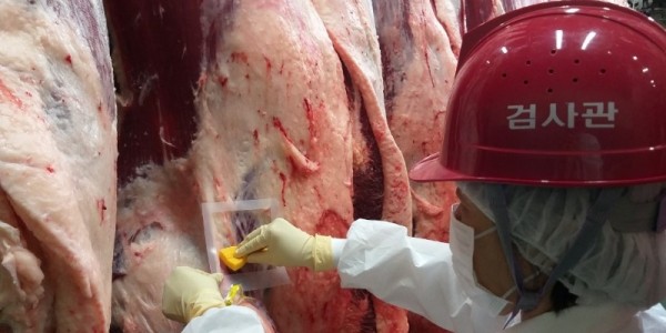 도축검사.jpg