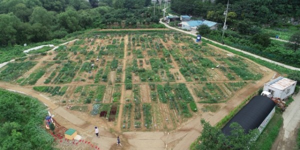 1. 공세동 시민농장 전경.jpg