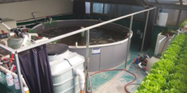 수산중심 아쿠아포닉스 DAS.jpg