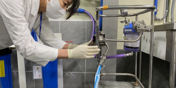 노로바이러스 감염예방을 위한 검사.png