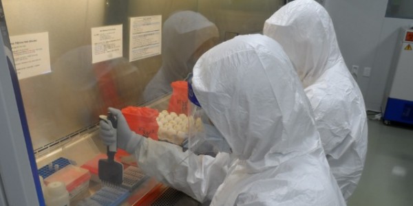 조류인플루엔자 정밀검사 실시.JPG