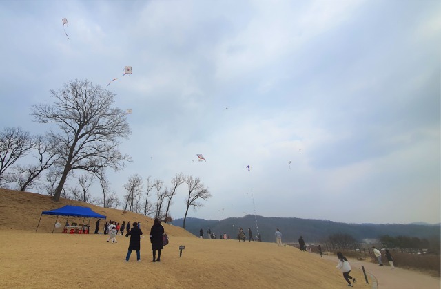 4-1. 용인특례시 처인구 남사읍 처인성 일대에서 개최된 _제1회 처인성 어린이 연날리기 대회_에 참가한 어린이들이 연을 날리고 있는 모습.jpg