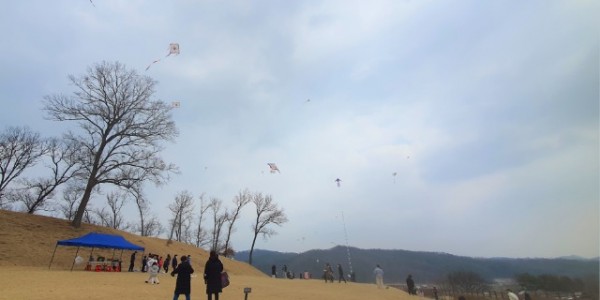 4-1. 용인특례시 처인구 남사읍 처인성 일대에서 개최된 _제1회 처인성 어린이 연날리기 대회_에 참가한 어린이들이 연을 날리고 있는 모습.jpg