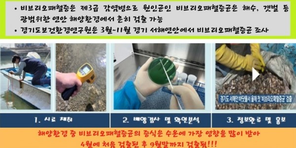 비브리오패혈증균 감시사업 .jpg
