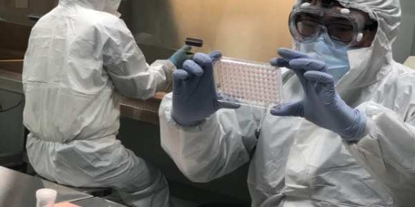 고병원성 조류인플루엔자 일제 검사.jpg