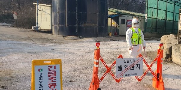 ASF 수평전파 차단 총력.jpg