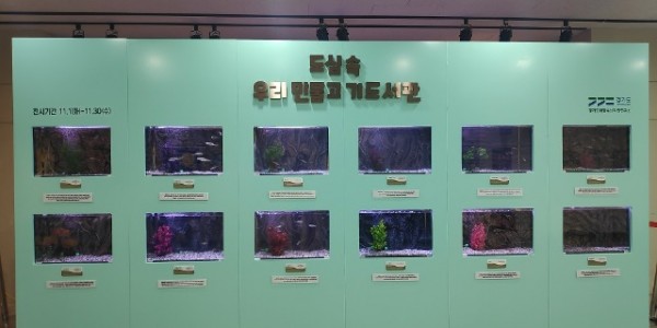 2022년 도심속 민물고기 이동도서관-광주중앙도서관.jpg