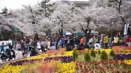 (참고사진)2019년 봄꽃축제.jpg