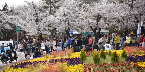 (참고사진)2019년 봄꽃축제.jpg