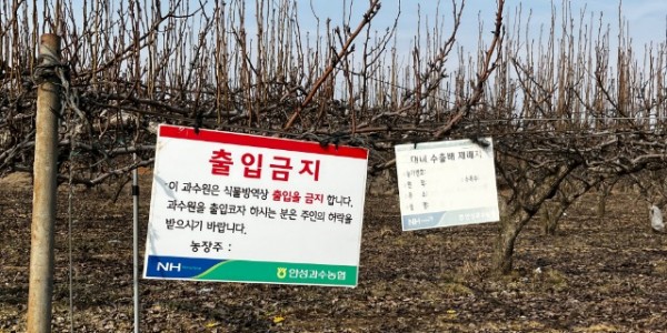 화상병 예방 당부(과원 출입통제).JPG