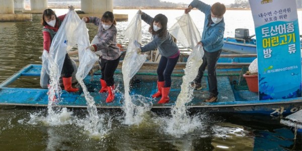 빙어방류.jpg