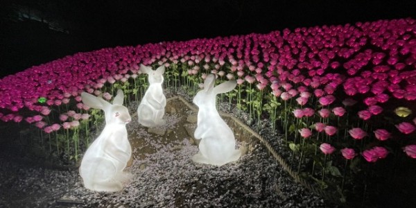 5. 수지구가 정평천에 경관조명을 설치했다.JPG