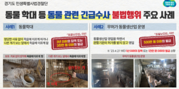 경기도 특사경, 동물학대 긴급수사. 3개소 적발.png