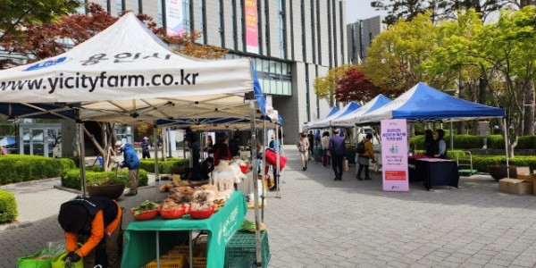 3. 용인특례시가 수지구청 광장에서 로컬푸드 직거래장터 문을 열었다.jpeg