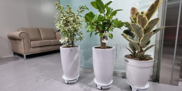 화훼소비활성화 공급 사진.jpg