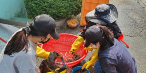 참고사진1(다슬기 교육， 교육생 실습).jpg