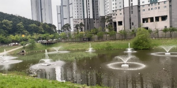 3. 8일부터 가동이 시작되는 처인구 역동저류지에 설치된 부유분수의 모습.jpg