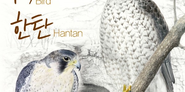 2023 지역 생태작가 초대전 〈삶, 새, 한탄〉_1.jpg