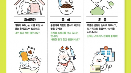 실외사육견 중성화 배포자료.png