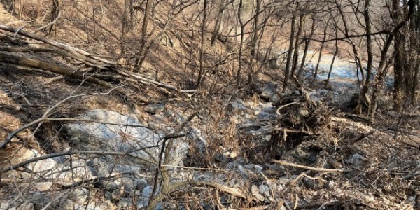 3-1. 수지구가 광교산 서봉사지터 등산로 수해현장을 복구했다. 복구 전 모습.JPG