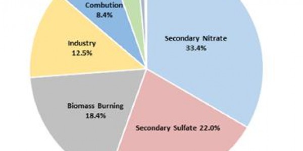 초미세먼지 구성성분 비율.jpg