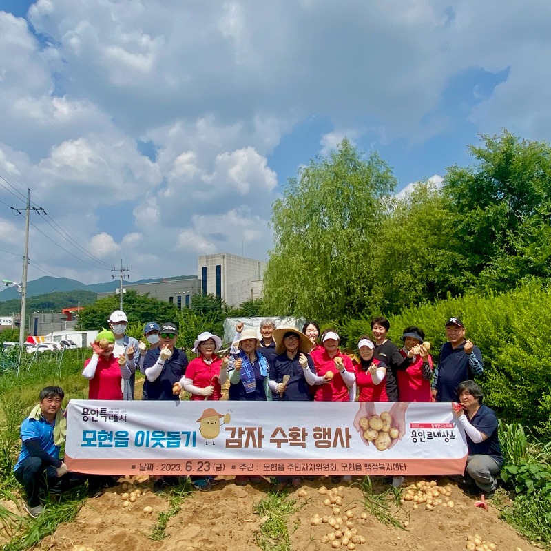 7. 지난 22일 처인구 모현읍 주민자치위원회 위원들이 이웃 돕기 감자 수확 행사를 진행했다..jpg