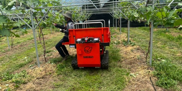 2-1. 한 농가에서 용인특례시가 대여한 동력운반차를 이용해 작물을 관리하고 있다.jpeg