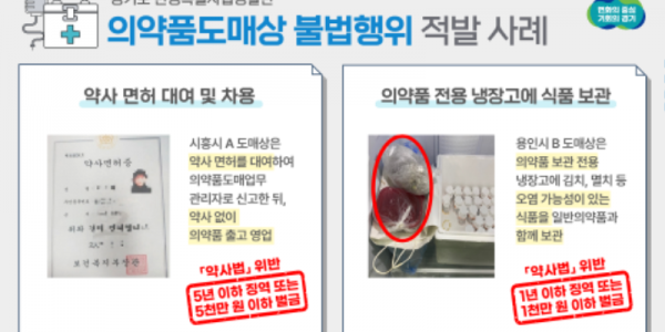 의약품도매상 불법행위 적발 사례.png