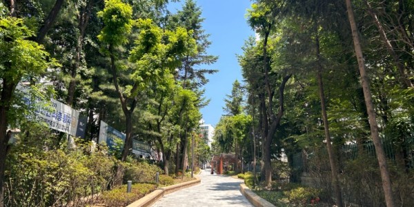 3. 기흥구가 구갈동 보행자도로 개선공사를 마무리했다고 20일 밝혔다. 사진은 구갈동 370-6번지 보행자도로..jpg