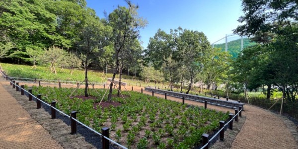 4-1. 용인특례시가 처인구·기흥구 도시자연공원구역 내 녹지를 활용해 시민녹색쉼터 두 곳을 조성했다. 사진은 유방 시민녹색쉼터..JPG