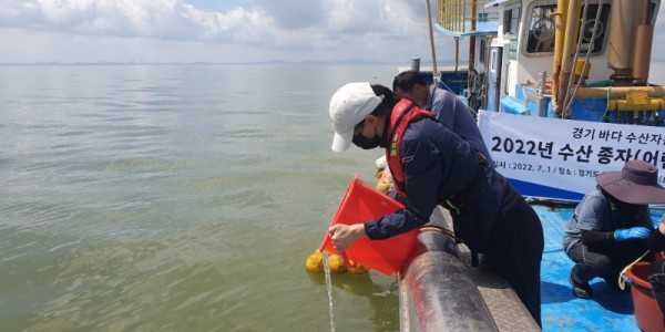 22년+갑오징어+방류.jpg