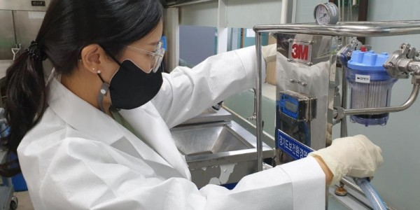 노로바이러스 채수.jpg