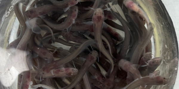 2023-07-13 10;17;41.PNG