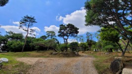 용인특례시가 공원정비사업을 위한 국비를 확보하고 고기근린공원(사진)에 잔디광장을 조성할 계획이라고 19일 밝혔다..jpg