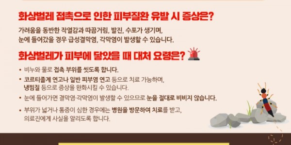 4. 용인특례시 보건소는 청딱지개미반날개 벌레 출몰지역과 하천변이나 저수지 등 주요 서식 예상 지역을 중심으로 집중 방역을 10월까지 진행한다. 사진은 관련 포스터..jpg