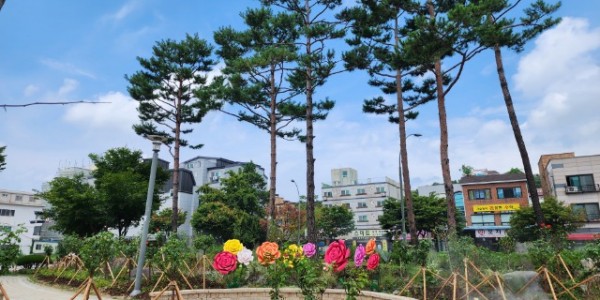 3-1. 용인특례시가 처인구 역북소공원에 장미정원을 조성했다..jpg