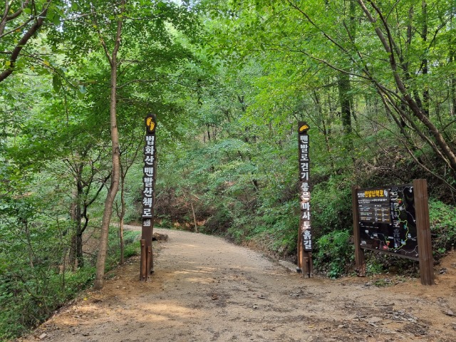 5-1. 용인특례시가 기흥구 마북동 법화산에 맨발 산책로를 조성했다.jpg