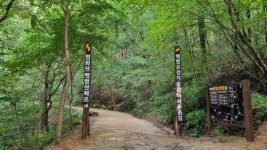 5-1. 용인특례시가 기흥구 마북동 법화산에 맨발 산책로를 조성했다.jpg