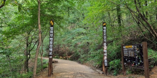 5-1. 용인특례시가 기흥구 마북동 법화산에 맨발 산책로를 조성했다.jpg
