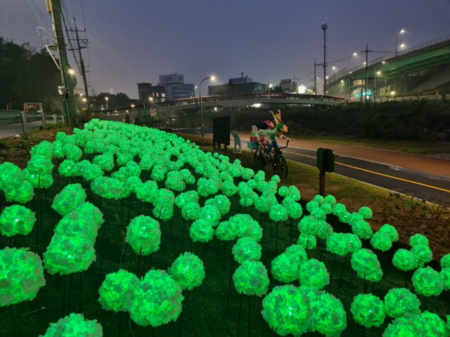 2. 용인특례시가 신갈천 1.5km 구간에 LED 수국정원을 설치했다.jpg