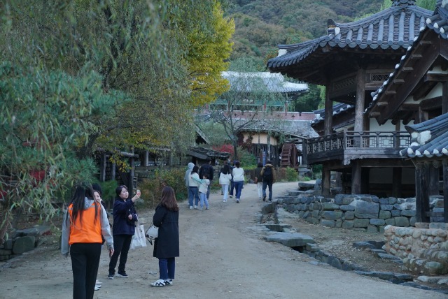 3-1. 지난 19일부터 21일까지 용인특례시가 마련한 _2023 용인 가을빛 야간 마실_ 행사에 참석자들의 모습.JPG