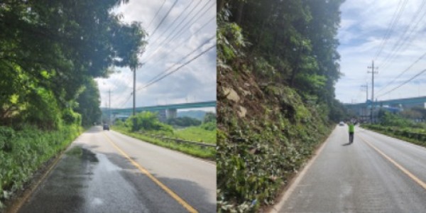 6. 용인특례시가 동부동 일원 산림 급경사지의 위험 수목을 제거하는 사업을 완료했다. 왼쪽은 사업 시행 전, 오른쪽은 사업 시행 후 모습..jpg