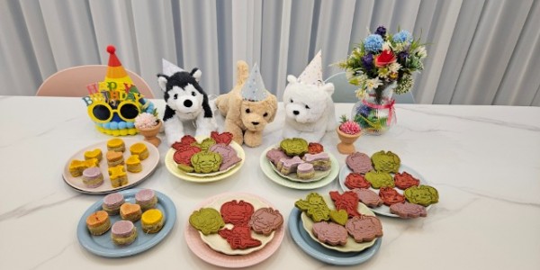 3. 반려동물 수제간식을 만들어 판매하는 더 건강하개가 21일부터 유기견을 위한 펫푸드 기부 프로그램 운영을 시작한다. 사진은 반려동물 수제간식..jpg