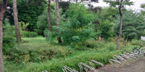 8. 용인특례시가 올해 기흥구 상갈역 일원 유휴지를 정원 공간으로 조성하면서 태양광 에너지 벤치 등을 설치할 예정이다..jpg