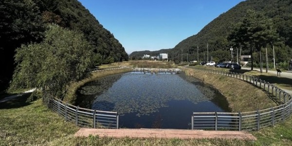 3. 경기도의 2024 경기생태마당 조성 사업에 선정된 용인특례시 길업습지 모습.jpg