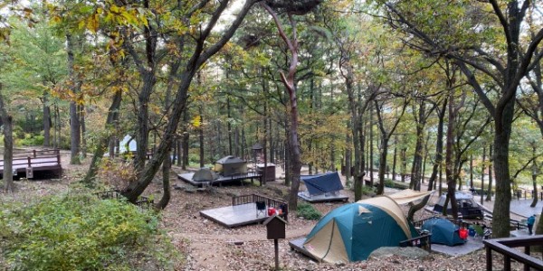 4-1.자연휴양림 내 조성된 야영데크장 모습.JPG