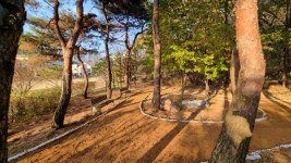 5-1. 용인특례시 수지구 상현동 서봉숲속근린공원 내 산책로 일부 구간 어싱길 조성 공사 모습.JPG